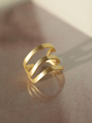 eleganter Ring